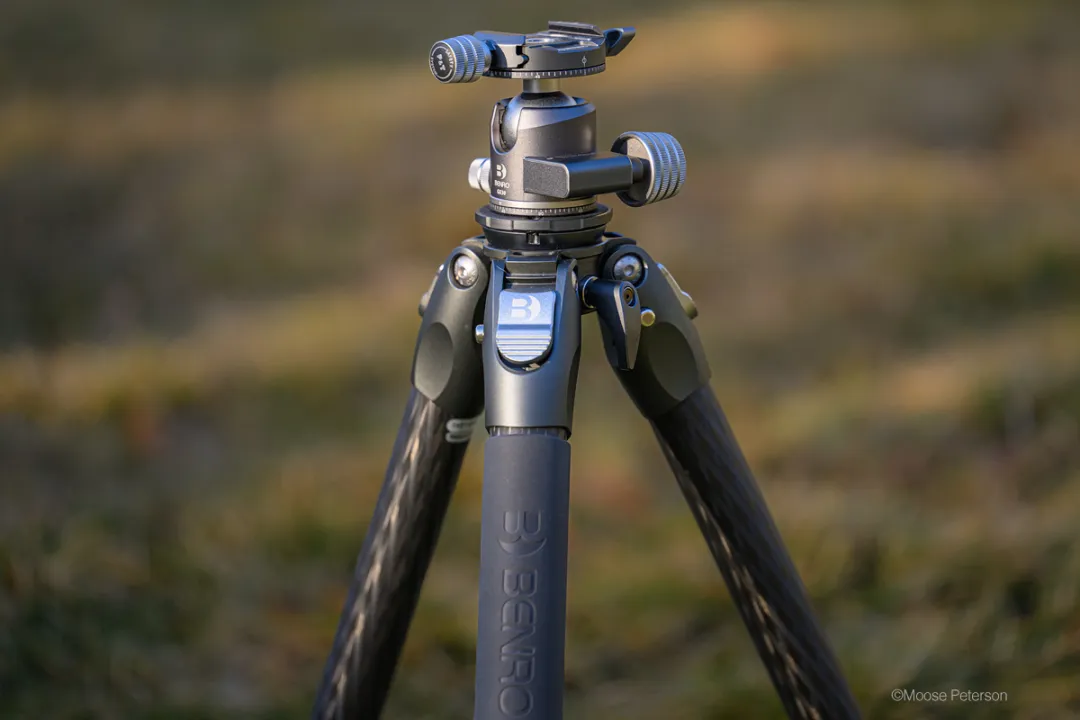 This Tripod is Absolutely Fantastic!