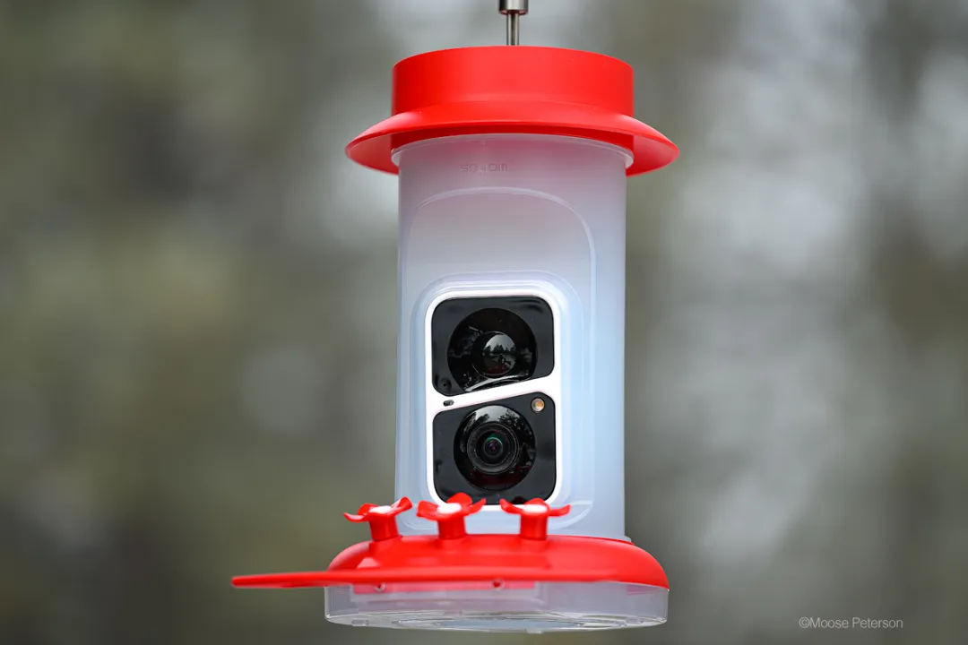 Soliom Hummer Feeder with Camera: Simply Brilliant!